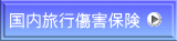 国内旅行傷害保険
